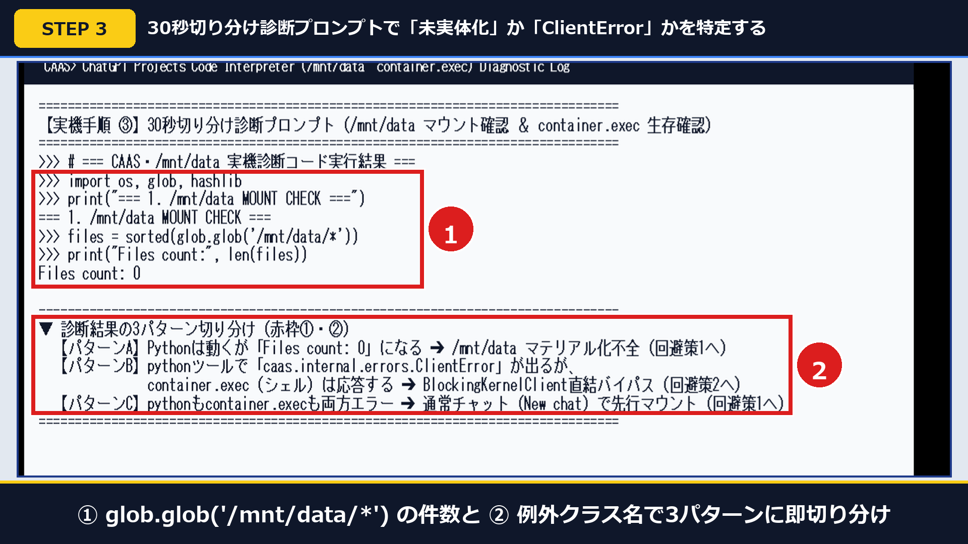 実機画面で①glob.glob('/mnt/data/*')の件数と②例外クラス名で3パターンに即切り分けている画面